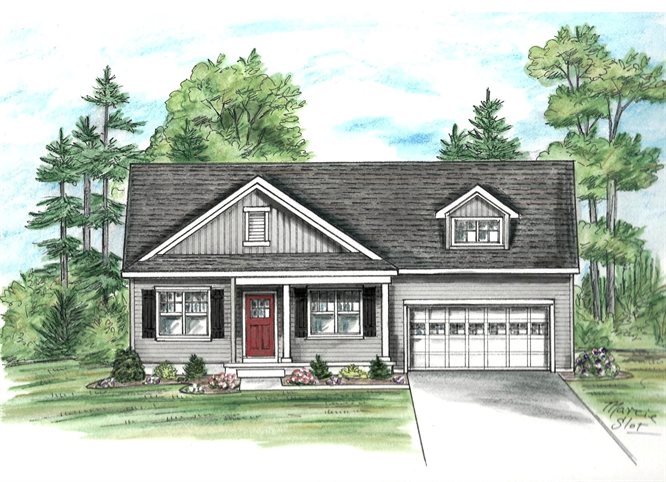Image of Spruce - Olson Farm